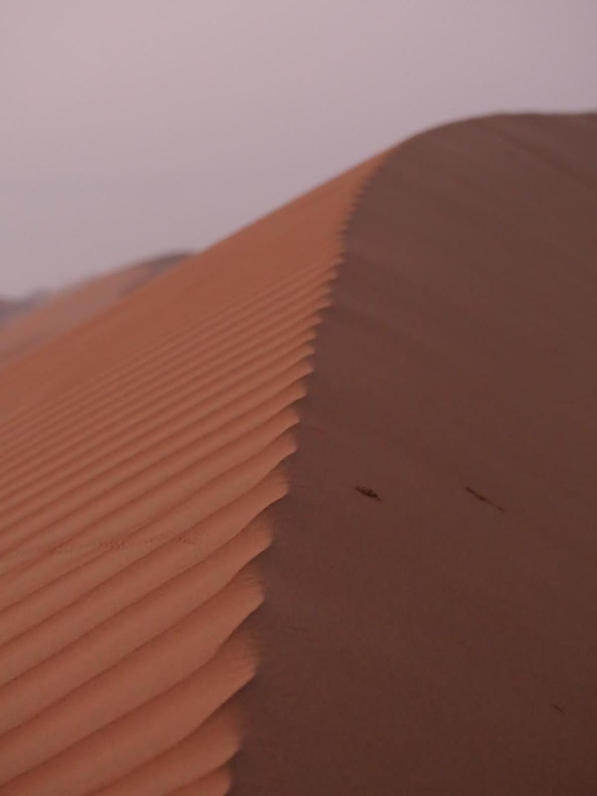 Arab Desert Camp Al Raka Zewnętrze zdjęcie